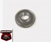 260-1005033 Шестерня колневала ведущая Д-260 z=50 (МЗШ) РБ - Интернет-магазин тракторных запчастей Дизелист-96