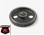 260-1006214-В1 Шестерня распредвала Д-260 н.о. (15°) (ММЗ) РБ - Интернет-магазин тракторных запчастей Дизелист-96