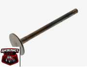 3LD-1007014 Клапан впускной - Интернет-магазин тракторных запчастей Дизелист-96