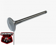 3LD-1007015 Клапан выпускной - Интернет-магазин тракторных запчастей Дизелист-96