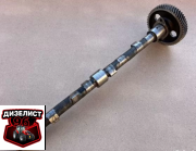 Д04-С01 Вал распределительный с шестерней - Интернет-магазин тракторных запчастей Дизелист-96