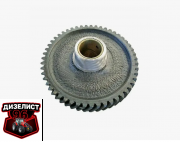Д37М-1006240А8-01 Шестерня паразитная ГРМ (ВМТЗ) - Интернет-магазин тракторных запчастей Дизелист-96