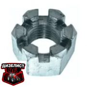 Т25-1601105 Гайка корончатая - Интернет-магазин тракторных запчастей Дизелист-96