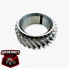 260-1005030-Д1 Шестерня коленвала Д-260 z=27 н.о. (15°) (ММЗ) РБ - Интернет-магазин тракторных запчастей Дизелист-96