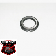 260-1005046 Гайка вала коленчатого Д-260 (ММЗ) РБ - Интернет-магазин тракторных запчастей Дизелист-96