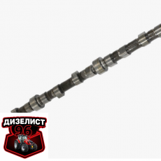 260-1006010 Вал распределительный с шестерней в сб - Интернет-магазин тракторных запчастей Дизелист-96