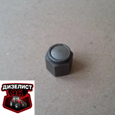 Д37М-1003540-А1 Гайка анкерной шпильки - Интернет-магазин тракторных запчастей Дизелист-96