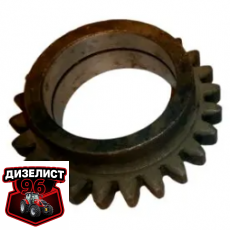 Т25-1701367-Г Шестерня замедлен. передачи Т-40 z=24 - Интернет-магазин тракторных запчастей Дизелист-96